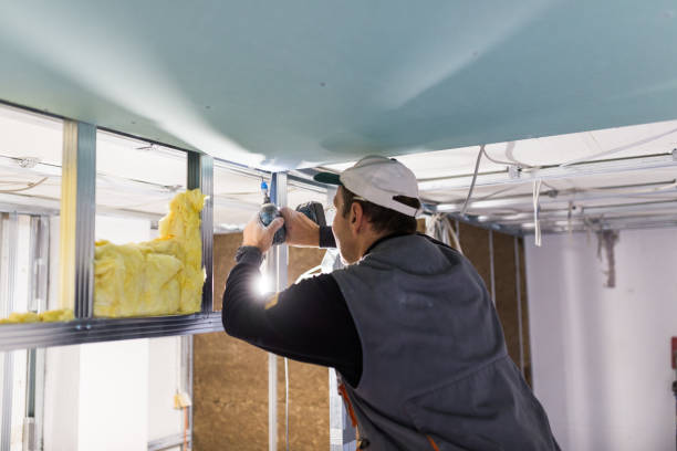 Types of Insulation We Offer in Del Aire, CA